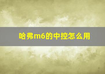 哈弗m6的中控怎么用