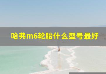 哈弗m6轮胎什么型号最好