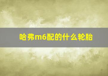 哈弗m6配的什么轮胎