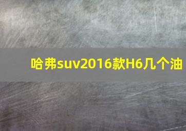 哈弗suv2016款H6几个油