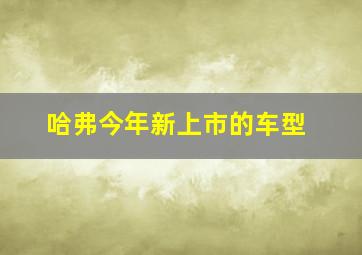 哈弗今年新上市的车型