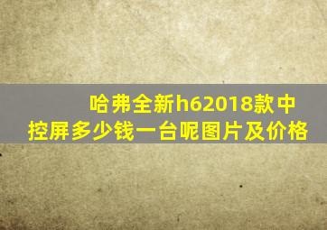 哈弗全新h62018款中控屏多少钱一台呢图片及价格