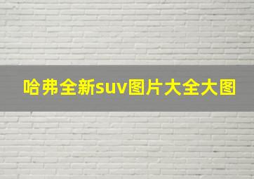 哈弗全新suv图片大全大图