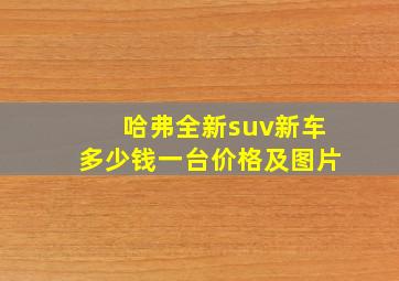 哈弗全新suv新车多少钱一台价格及图片