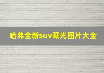 哈弗全新suv曝光图片大全