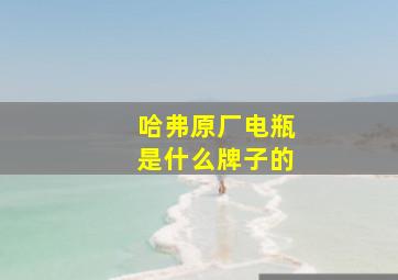 哈弗原厂电瓶是什么牌子的