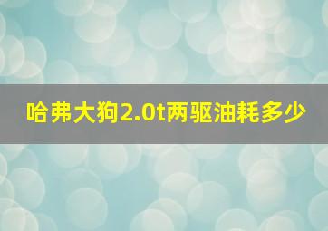 哈弗大狗2.0t两驱油耗多少