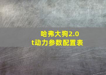 哈弗大狗2.0t动力参数配置表