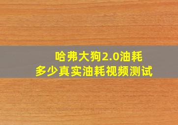 哈弗大狗2.0油耗多少真实油耗视频测试