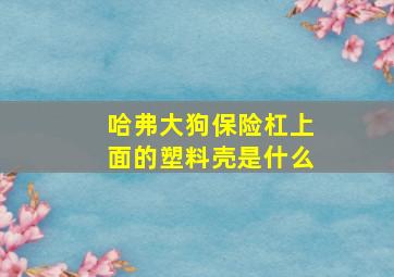 哈弗大狗保险杠上面的塑料壳是什么