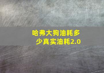 哈弗大狗油耗多少真实油耗2.0