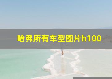 哈弗所有车型图片h100