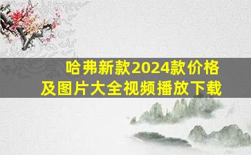 哈弗新款2024款价格及图片大全视频播放下载