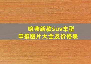 哈弗新款suv车型申报图片大全及价格表