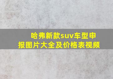 哈弗新款suv车型申报图片大全及价格表视频