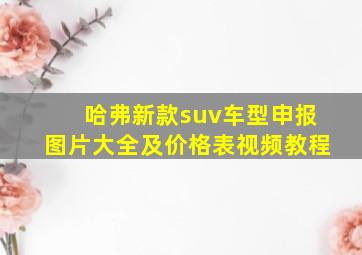 哈弗新款suv车型申报图片大全及价格表视频教程