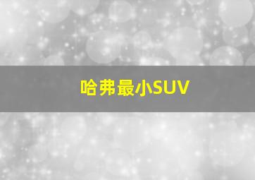 哈弗最小SUV