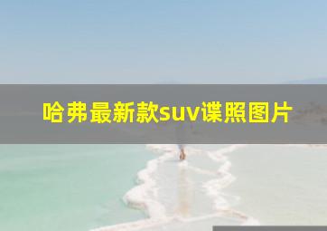 哈弗最新款suv谍照图片