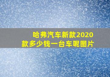 哈弗汽车新款2020款多少钱一台车呢图片