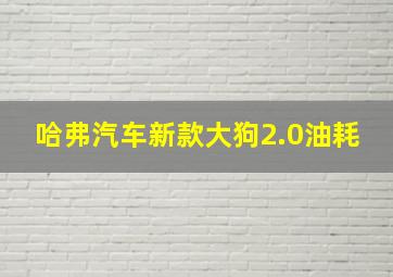 哈弗汽车新款大狗2.0油耗