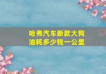 哈弗汽车新款大狗油耗多少钱一公里