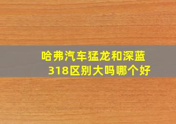 哈弗汽车猛龙和深蓝318区别大吗哪个好