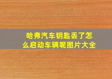 哈弗汽车钥匙丢了怎么启动车辆呢图片大全