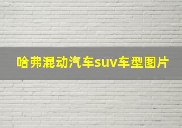 哈弗混动汽车suv车型图片