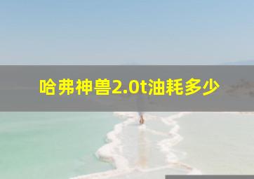 哈弗神兽2.0t油耗多少