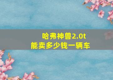 哈弗神兽2.0t能卖多少钱一辆车