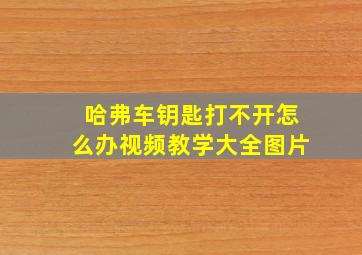 哈弗车钥匙打不开怎么办视频教学大全图片