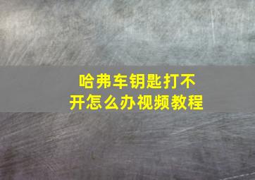 哈弗车钥匙打不开怎么办视频教程