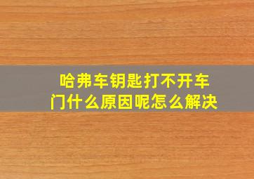 哈弗车钥匙打不开车门什么原因呢怎么解决