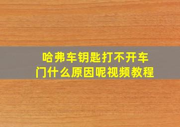 哈弗车钥匙打不开车门什么原因呢视频教程