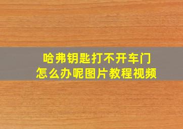 哈弗钥匙打不开车门怎么办呢图片教程视频