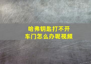 哈弗钥匙打不开车门怎么办呢视频