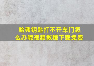 哈弗钥匙打不开车门怎么办呢视频教程下载免费