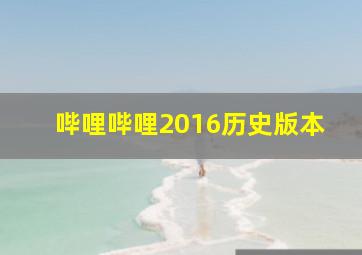 哔哩哔哩2016历史版本