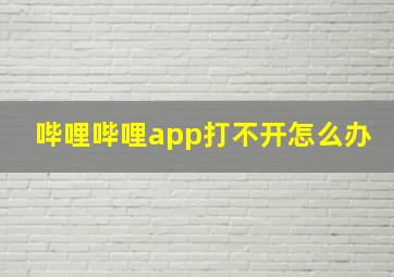 哔哩哔哩app打不开怎么办