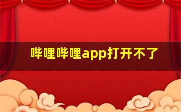 哔哩哔哩app打开不了