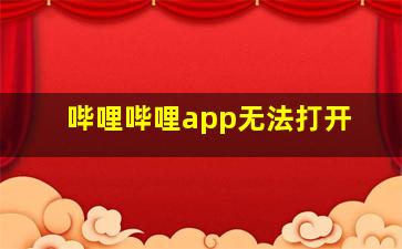 哔哩哔哩app无法打开