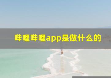 哔哩哔哩app是做什么的