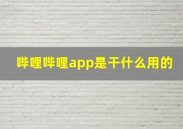 哔哩哔哩app是干什么用的