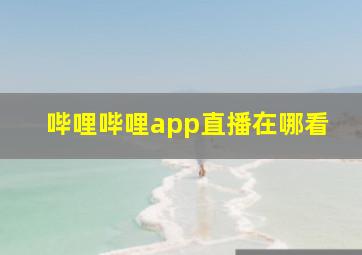 哔哩哔哩app直播在哪看