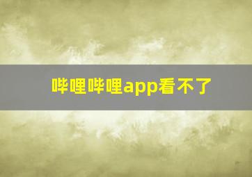 哔哩哔哩app看不了