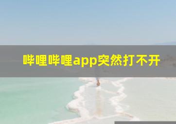 哔哩哔哩app突然打不开