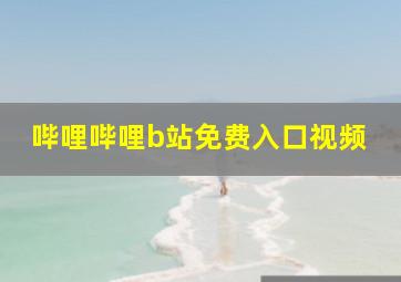 哔哩哔哩b站免费入口视频