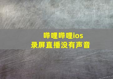 哔哩哔哩ios录屏直播没有声音