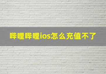 哔哩哔哩ios怎么充值不了