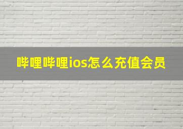 哔哩哔哩ios怎么充值会员